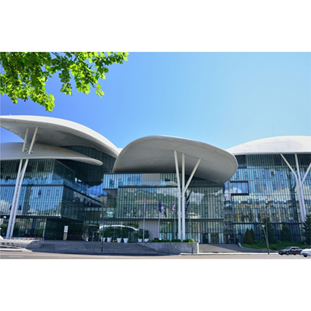 格鲁吉亚Medvisit Global