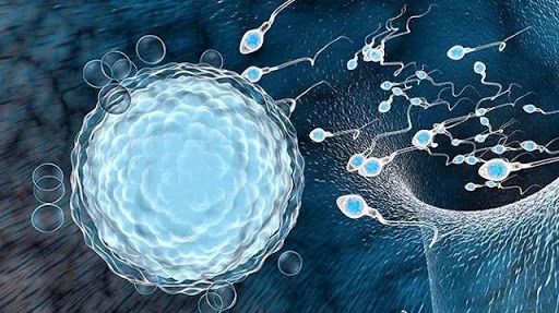 1599803070742630.jpg 1599803070742630.jpg