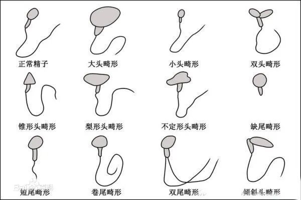 1599803076459976.jpg 1599803076459976.jpg