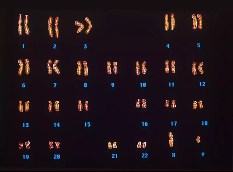 1646710266467256.png 5.png